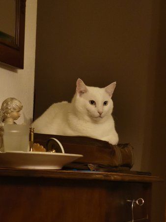 IMG_20191031_193721.jpg