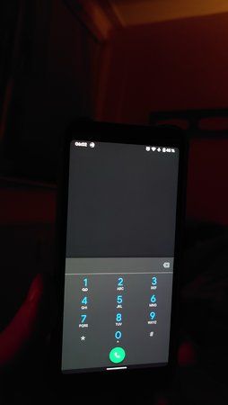 DSC_1729.JPG