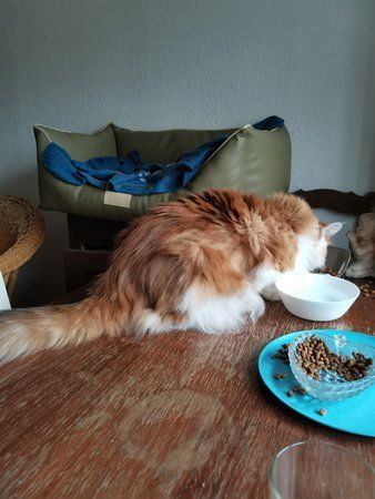 IMG_20191102_092053.jpg