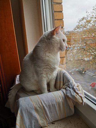 IMG_20191102_091648.jpg