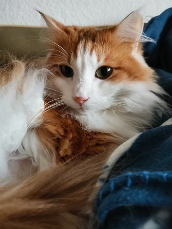 IMG_20191102_091442.jpg