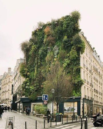 paris.jpeg
