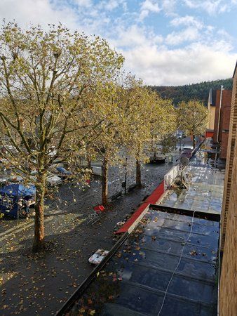 IMG_20191102_104337.jpg