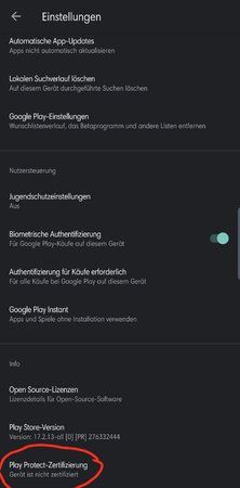 Screenshot_20191102-124355_Google Play Store.jpg