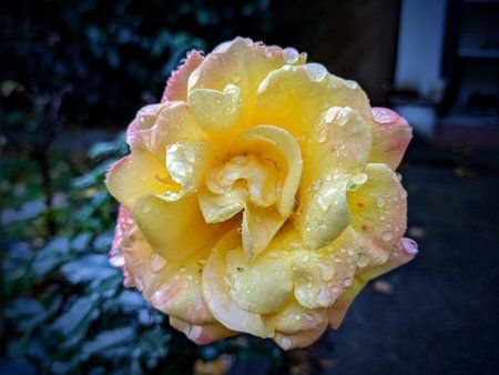 IMG_20191102_080023~3.jpg