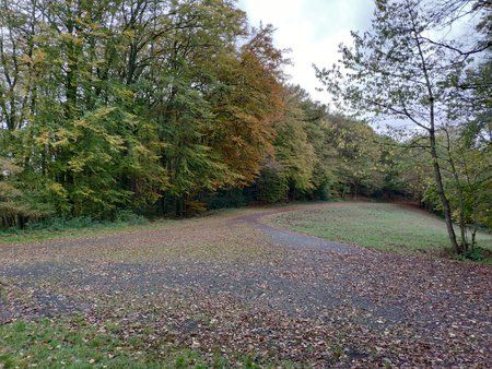 IMG_20191102_133205.jpg