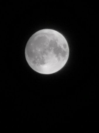 IMG_20191012_220811.jpg
