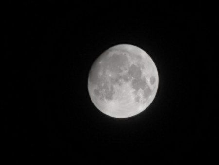 IMG_20191011_224024.jpg
