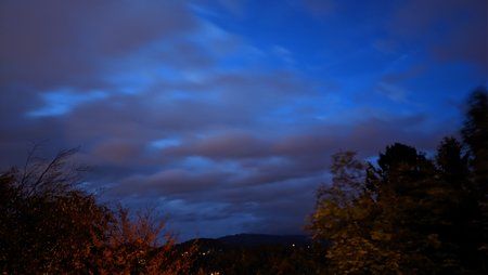 IMG_20191103_172536.jpg