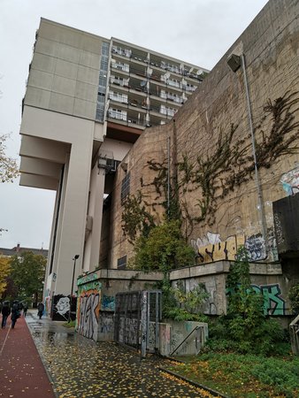 IMG_20191016_152302.jpg