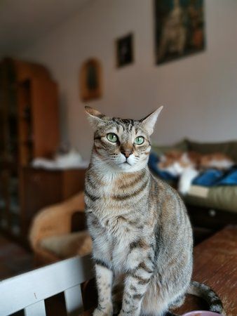 IMG_20191102_115305.jpg