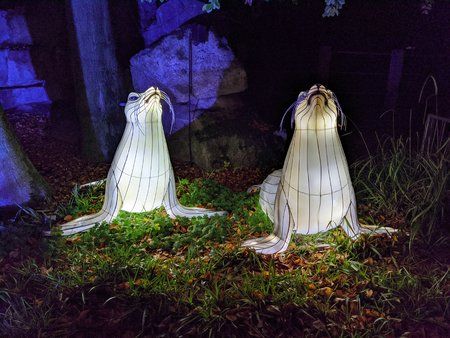 IMG_20191103_175517.jpg