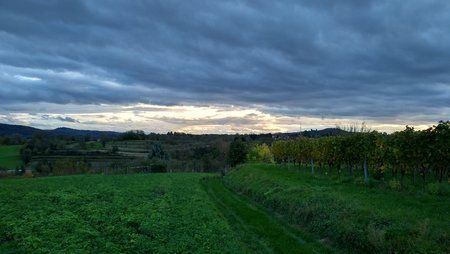 IMG_20191104_162334_015.jpg