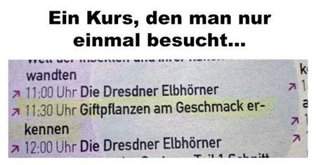 gift.jpg