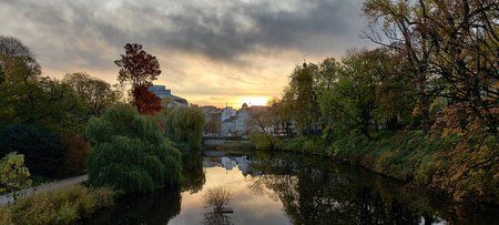 IMG_20191108_075652.jpg