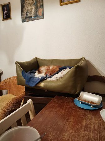 IMG_20191110_183341.jpg