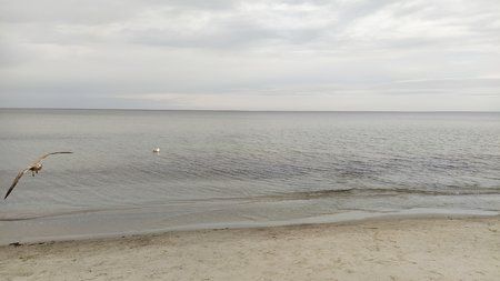 IMG_20191019_162711.jpg