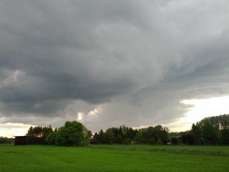 IMG_20120509_181709.jpg