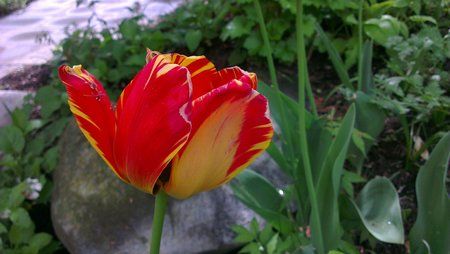 IMAG0034.jpg
