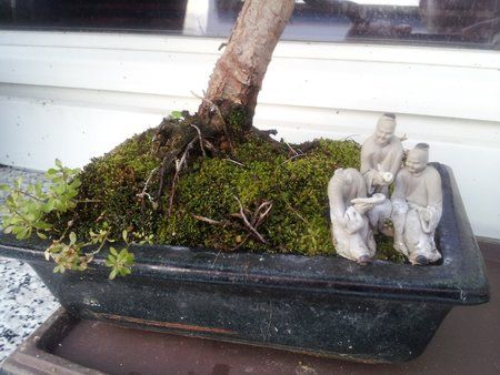 CameraZOOM-20120510195712408.jpg