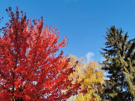 IMG_20191109_101110.jpg