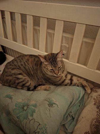 IMG_20191114_224234.jpg