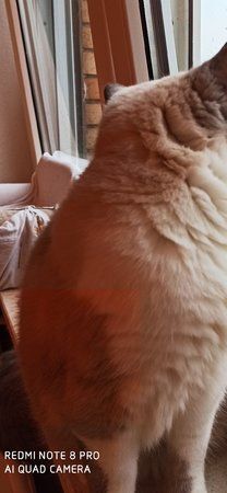 Screenshot_2019-11-16-08-20-04-708_com.miui.gallery.jpg