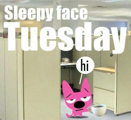 Tuesday_1536673892907.jpg