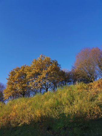IMG_20191116_143027.jpg