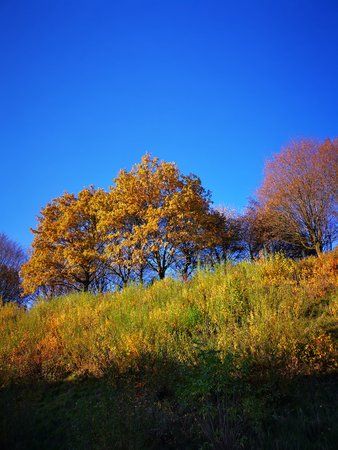 IMG_20191116_143033.jpg