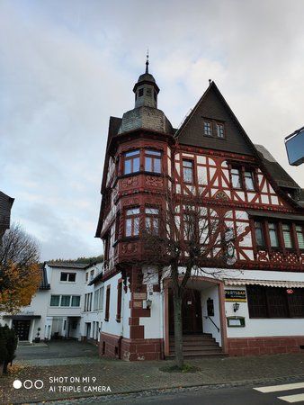 IMG_20191120_153546.jpg