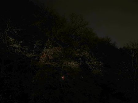 IMG_20191122_172947-bsh_soft-224.jpg