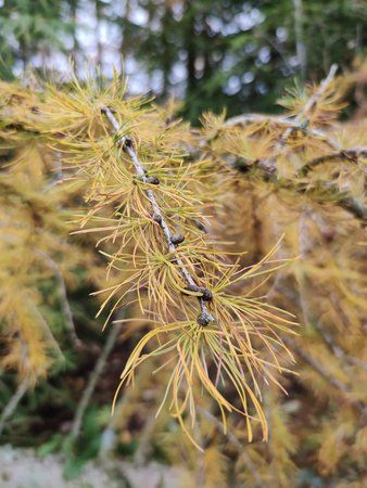 IMG_20191122_130721.jpg