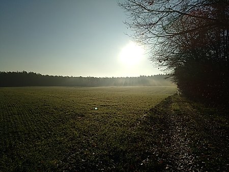 IMG_20191205_101422.jpg