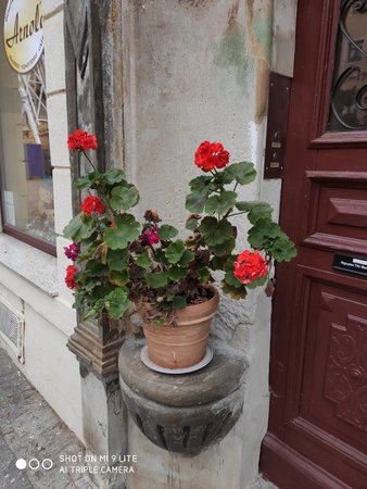 IMG_20191208_124349.jpg