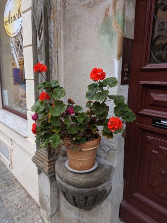IMG_20191208_124400.jpg