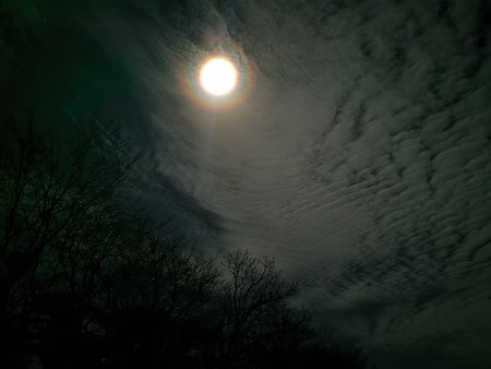 IMG_20191210_210913.jpg