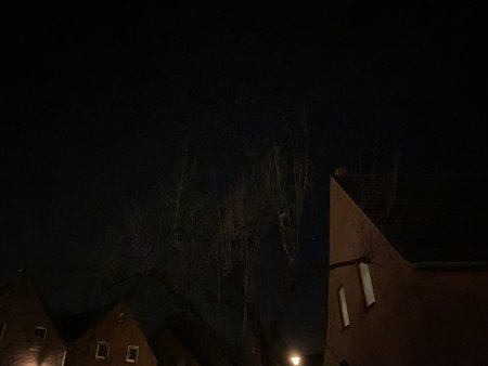 66B046B5-546A-4D7E-8FDC-1D597E790FAE.jpeg