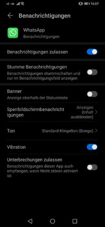 bild 3.jpg