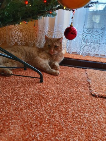 20191223_094341.jpg