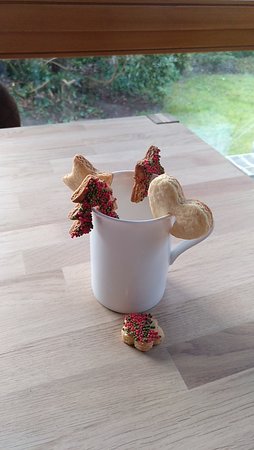 IMG_20191224_111119.jpg