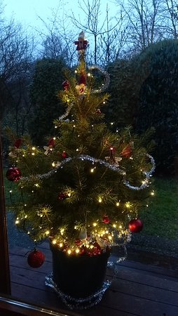 IMG_20191224_152557.jpg