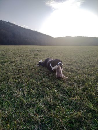IMG_20191218_151908.jpg