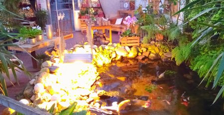 IMG_20191230_160603_HDR.jpg