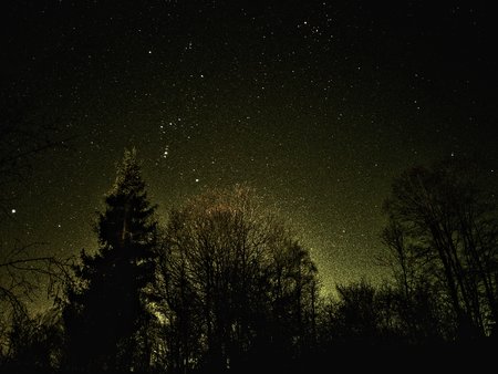 20200102_000022-01.jpeg