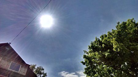 IMAG0019.jpg