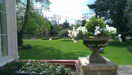 IMAG0347.jpg