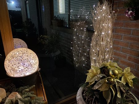 B7E65220-F729-43F8-B937-10567C96B165.jpeg