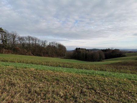 IMG_20200112_123654.jpg