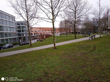 IMG_20191220_134246_1.jpg